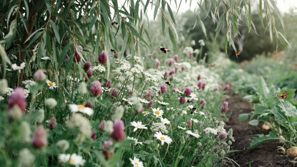 Inhemska växter som gynnar pollinatörer